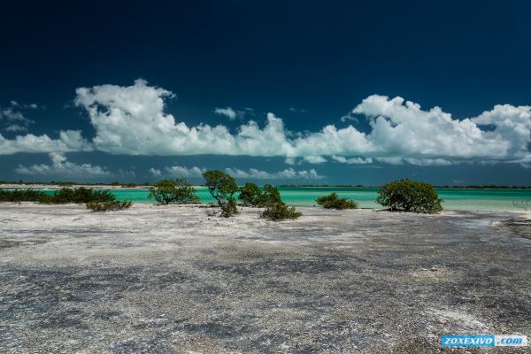 Остров Рождества, Кирибати | фоторепортаж