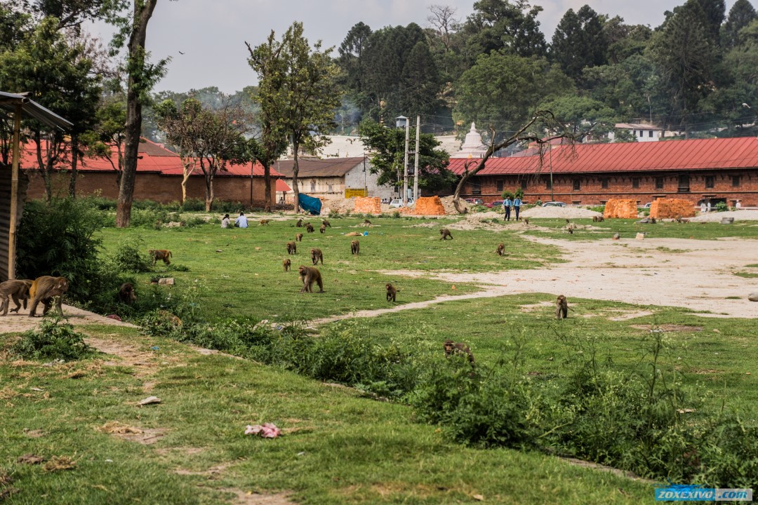 Nepal, Kathmandu photo - 6