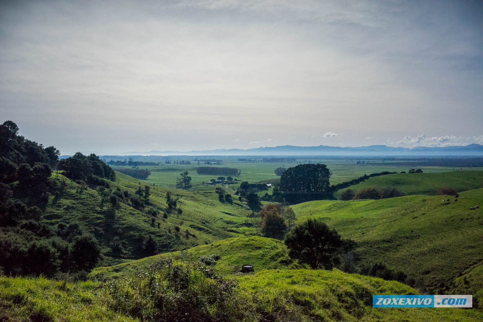 Hobbiton, New Zealand, the land of hobbits, how to get to Hobbiton, Lord of the Rings filming locations - 6