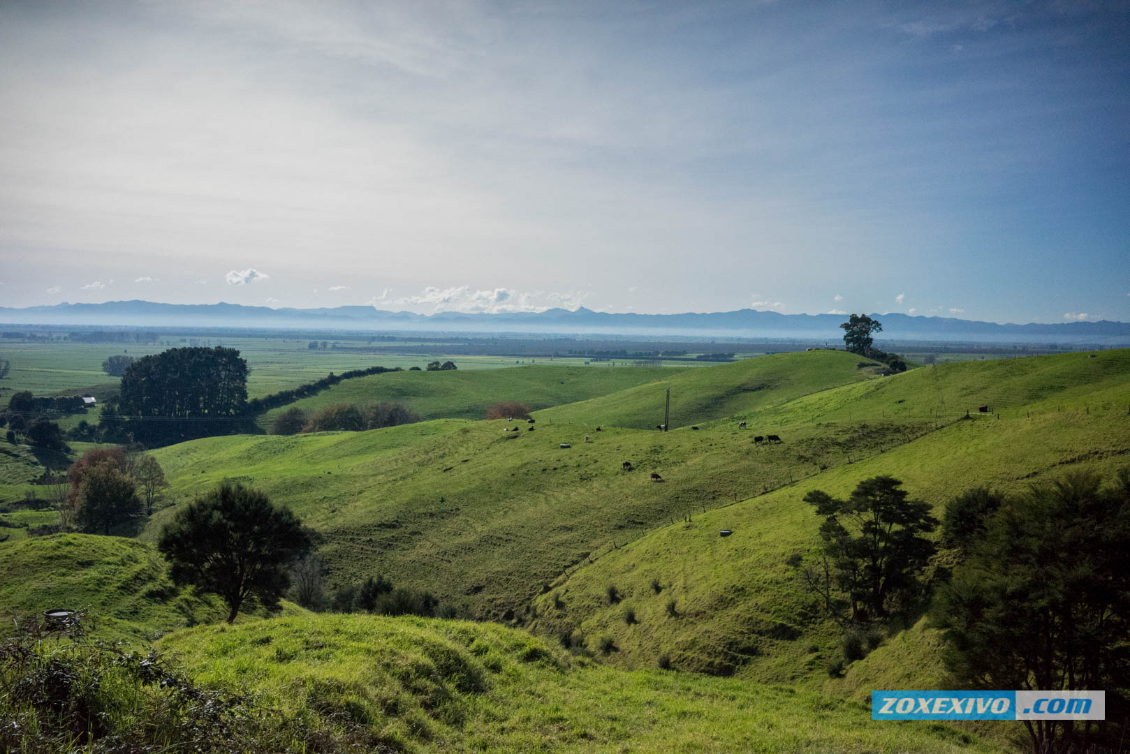 Hobbiton, New Zealand, the land of hobbits, how to get to Hobbiton, Lord of the Rings filming locations - 8