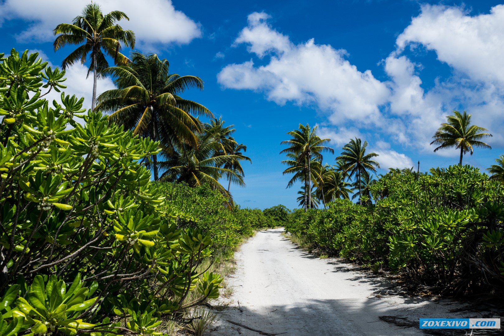 travel to christmas island kiribati