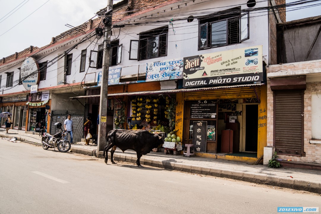 Nepal, Kathmandu photo - 4