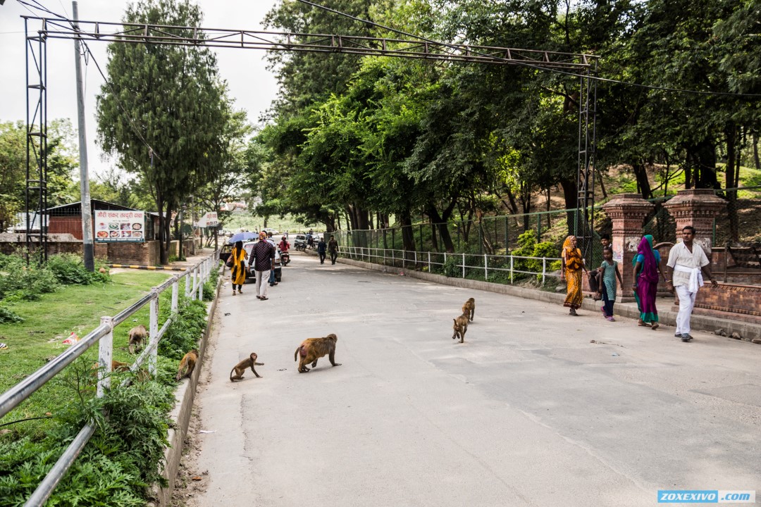 Nepal, Kathmandu photo - 9