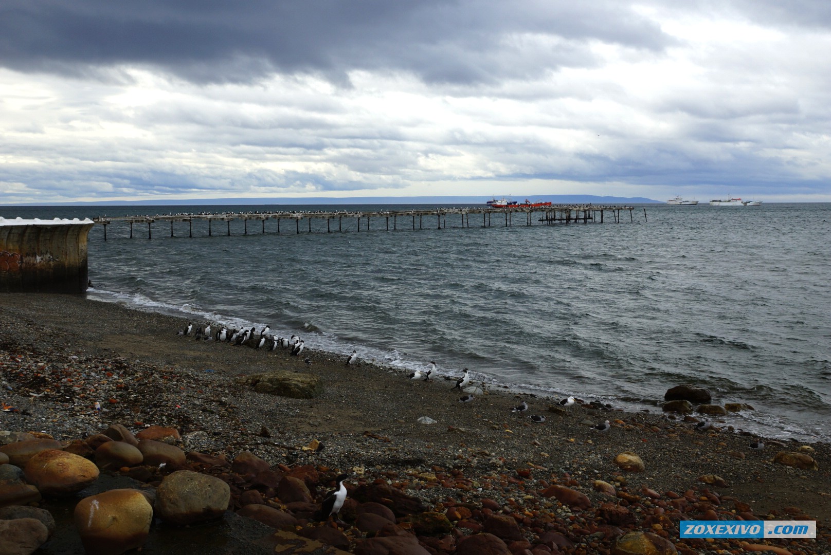 Punta-Arenas photo - 4