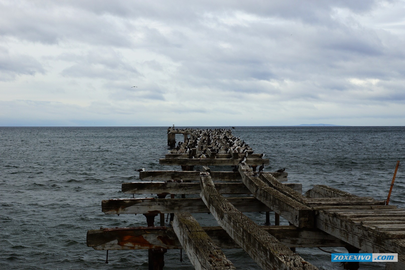 Punta-Arenas photo - 9