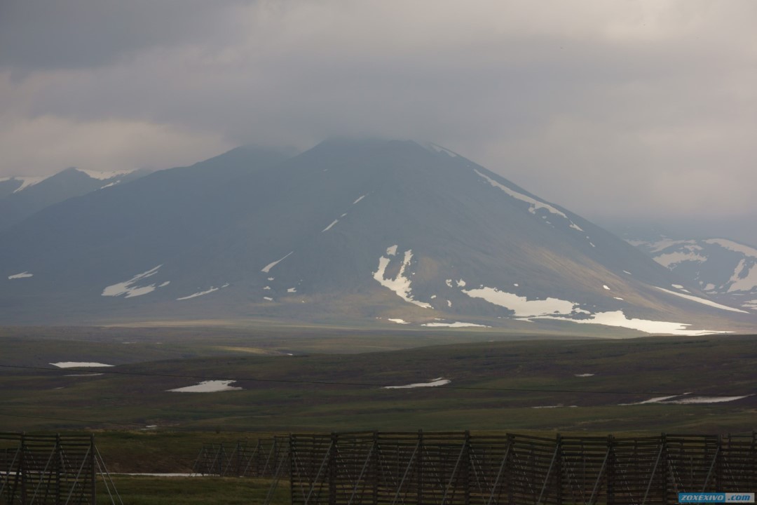 Северный характер салехард фото