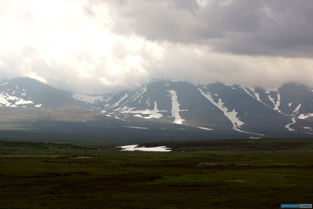 Северный характер салехард фото