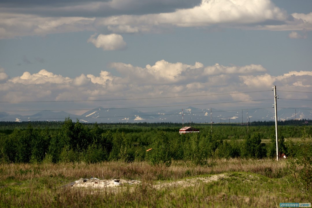 Летний салехард фото