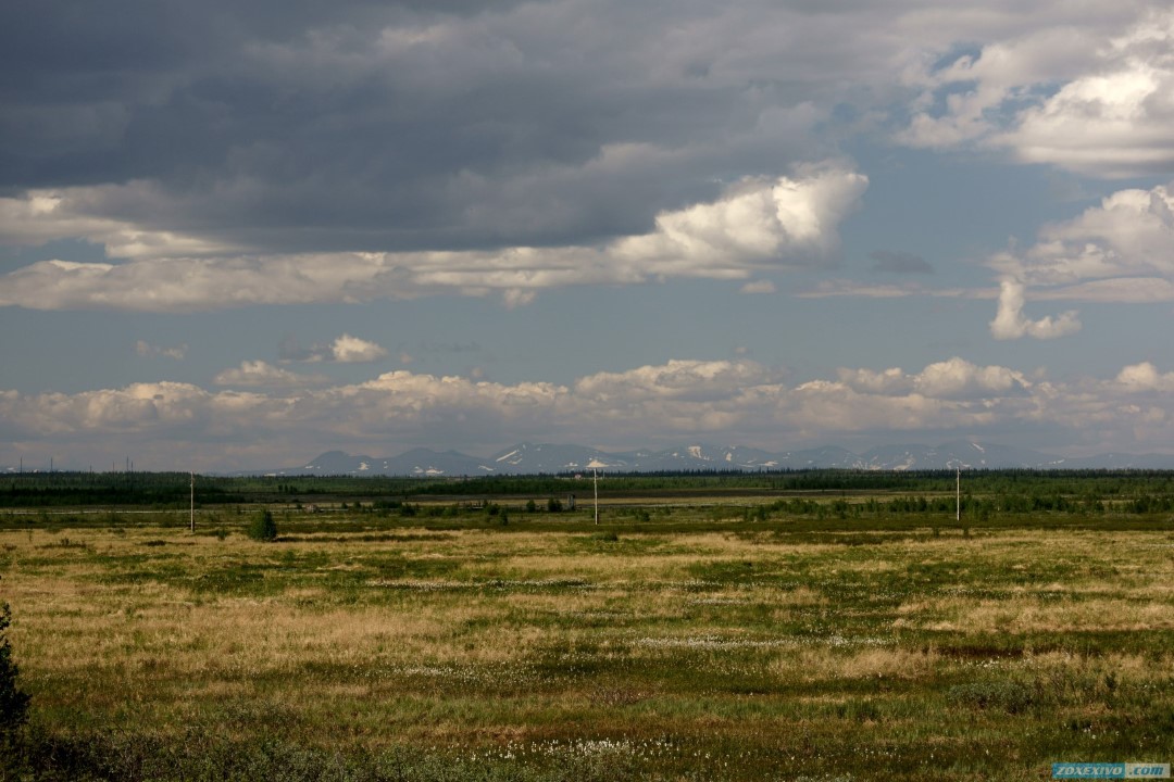 Летний салехард фото