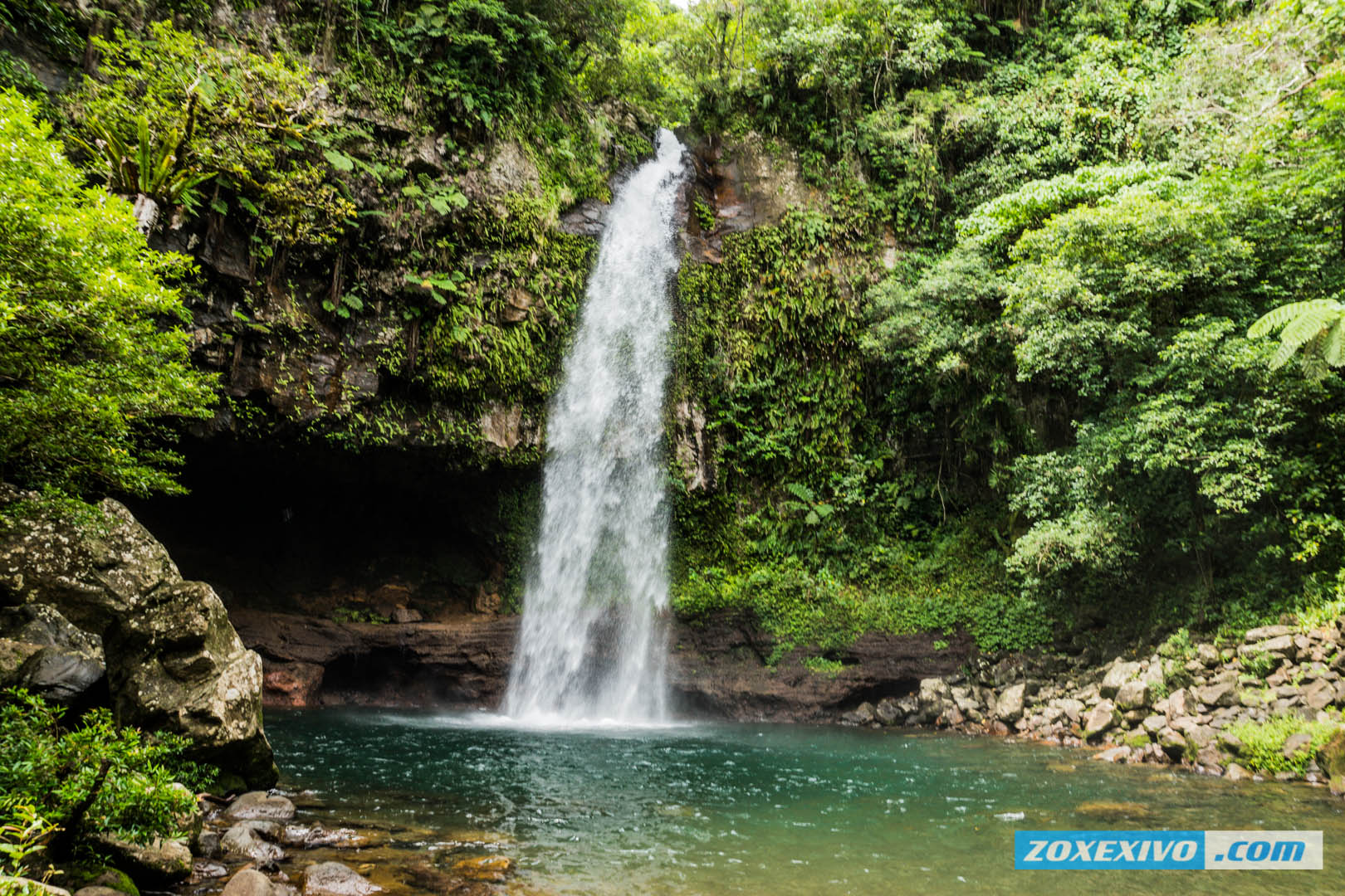 Maravu