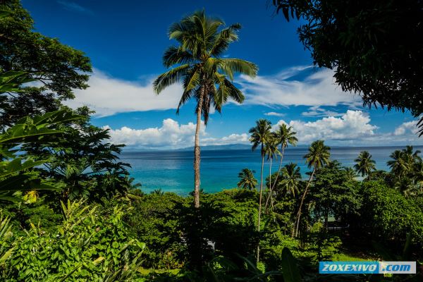 Taveuni, Fiji | photoreport