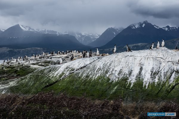 Ushuaia | photoreport